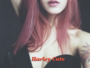 Harley_Cute