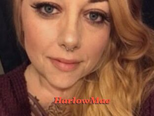 Harlow_Mae