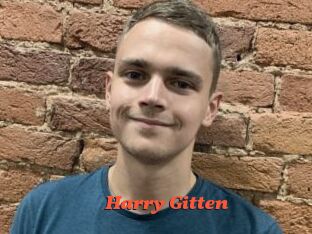 Harry_Gitten
