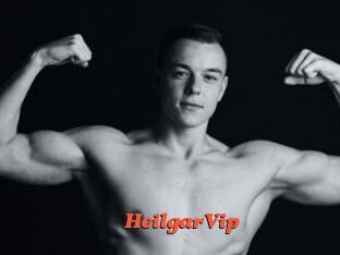 HeilgarVip