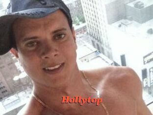 Hollytop
