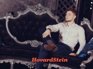 HovardStein Livespot