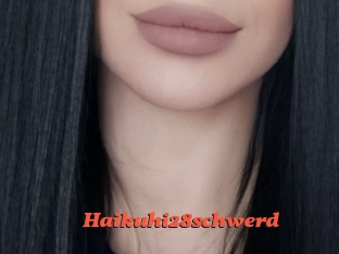 Haikuhi28schwerd