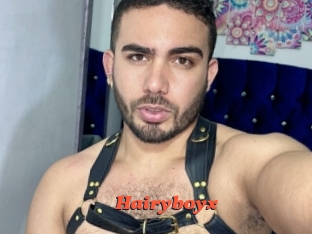 hairyboyx Livespot