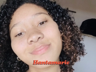 Hantamarie