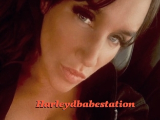 Harleydbabestation