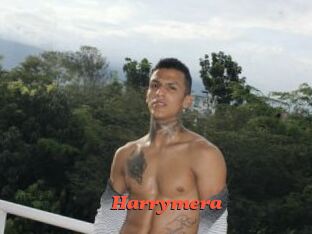 Harrymera