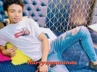 Harrymontanaa