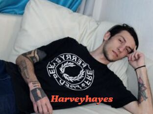 Harveyhayes