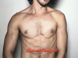 Hausofangel