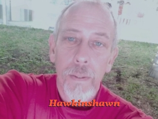 hawkinshawn Livespot