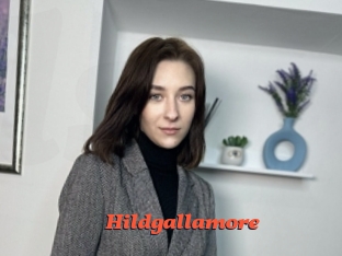 Hildgallamore