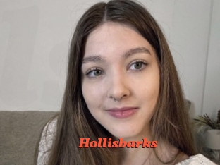 Hollisbarks