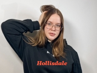 hollisdale Livespot