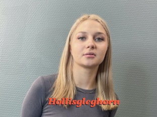 Hollisgleghorn