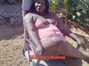 horneybums Livespot