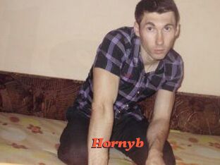 Hornyb