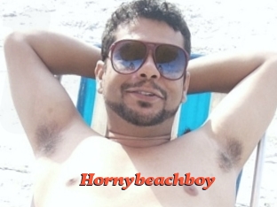Hornybeachboy