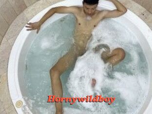 Hornywildboy