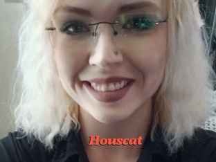 houscat Livespot