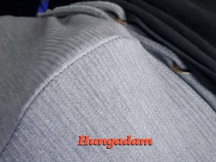 hungadam Livespot
