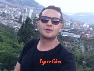 IgorGin