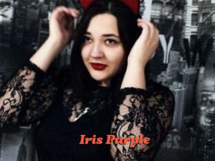 Iris_Purple