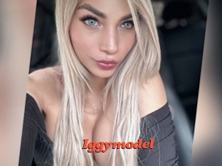 Iggymodel