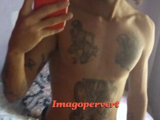 Imagopervert
