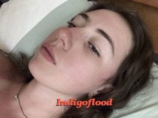 Indigoflood