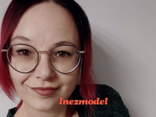 Inezmodel