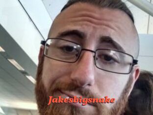 Jakesbigsnake