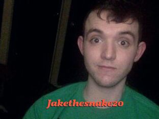 Jakethesnake20