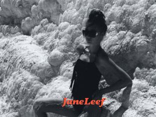 JaneLeef