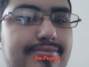 JoePuppy