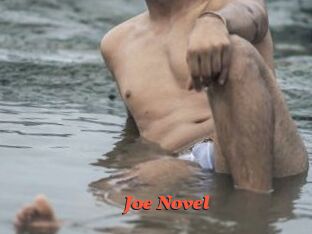 Joe_Novel Livespot