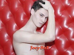 JoeyB0Y