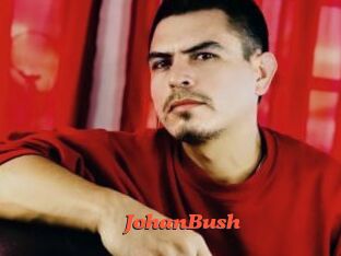 JohanBush