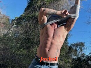 Jackal
