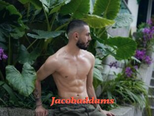 jacobaddams Livespot