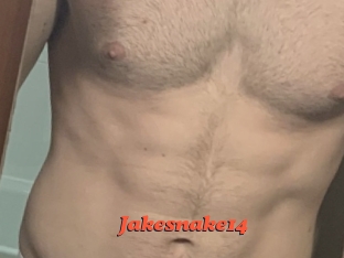 Jakesnake14