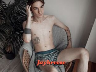 Jaybreeze