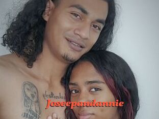 Joseepandannie