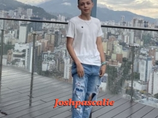 joshpascalie Livespot