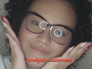 Juniper_camrose