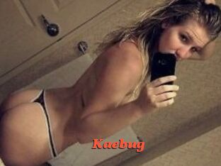 Kaebug