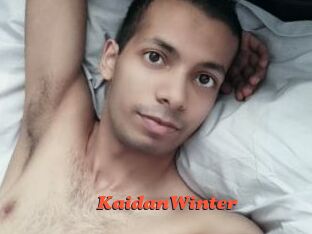 KaidanWinter