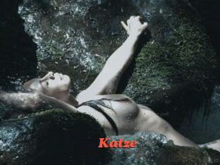 Katze