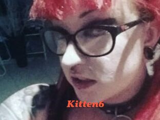 Kitten6