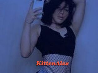 KittenAlex
